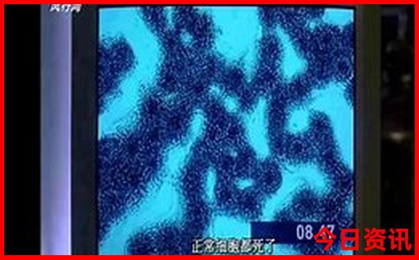 陕西什么地方凉快